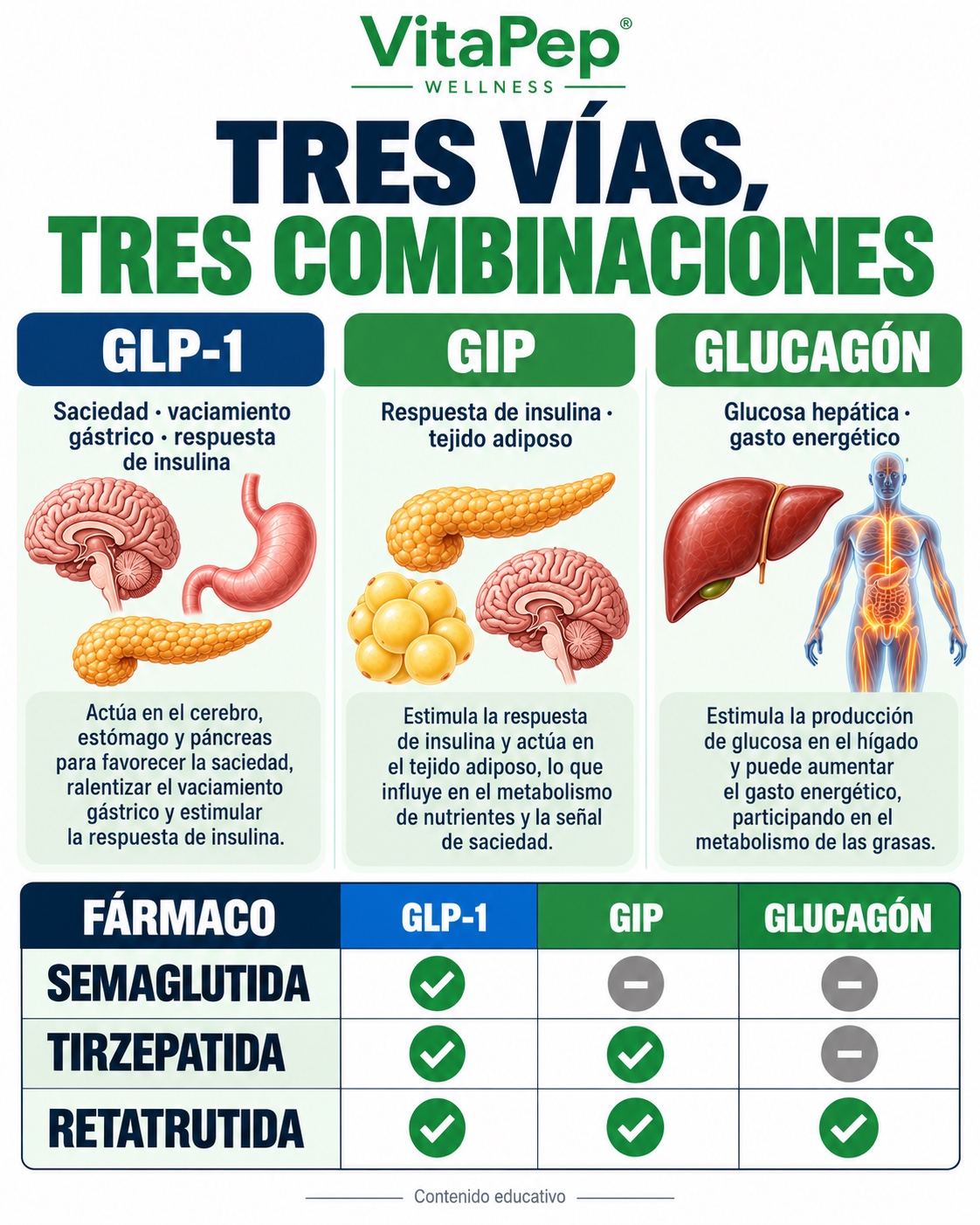 GLP-1, GIP y glucagón: tres vías — guía VitaPep