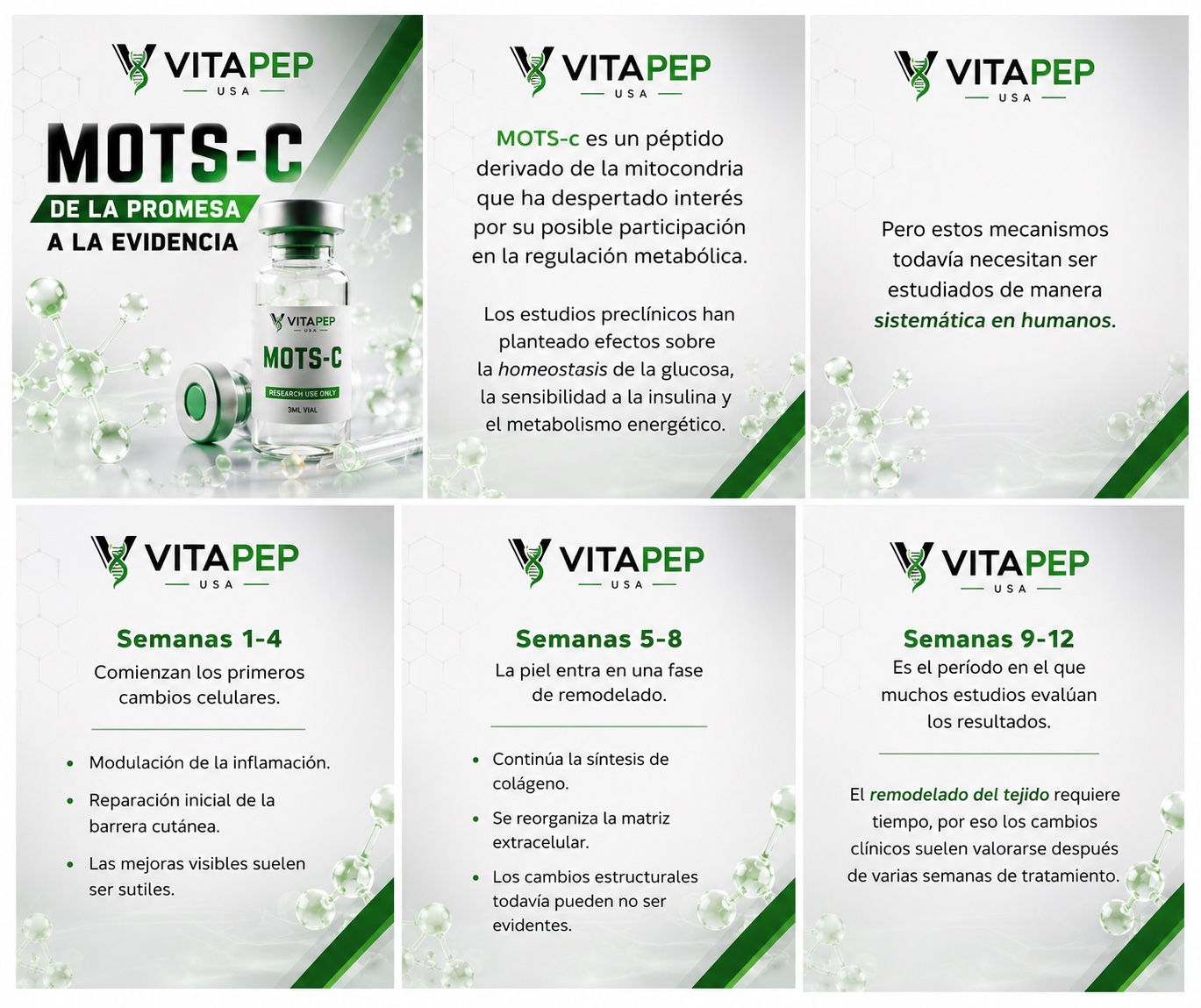 MOTS-C — guía VitaPep